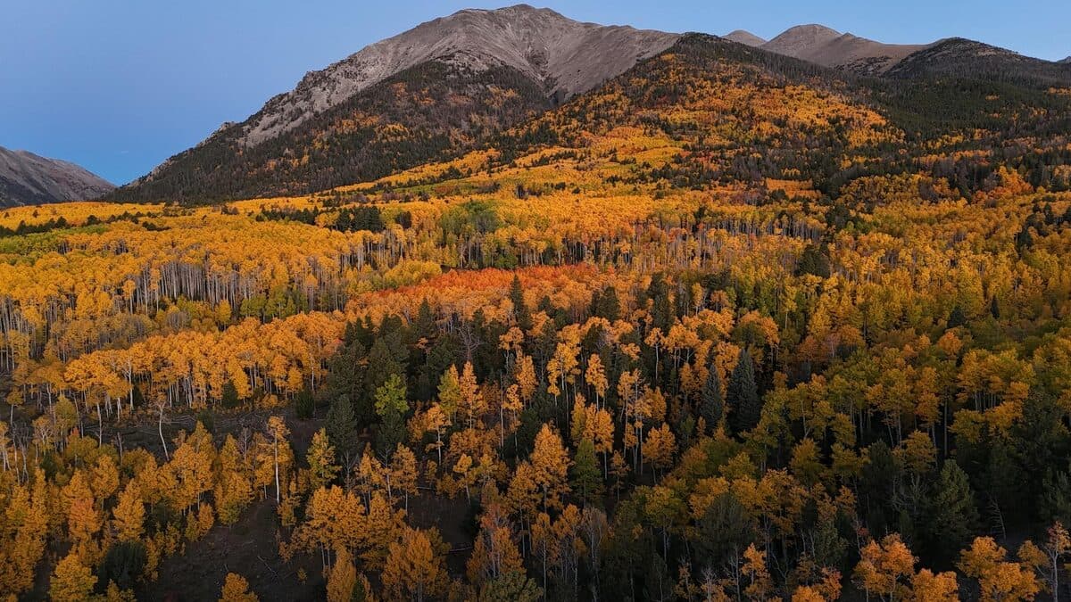 End of Summer in Durango: How to Make It Count