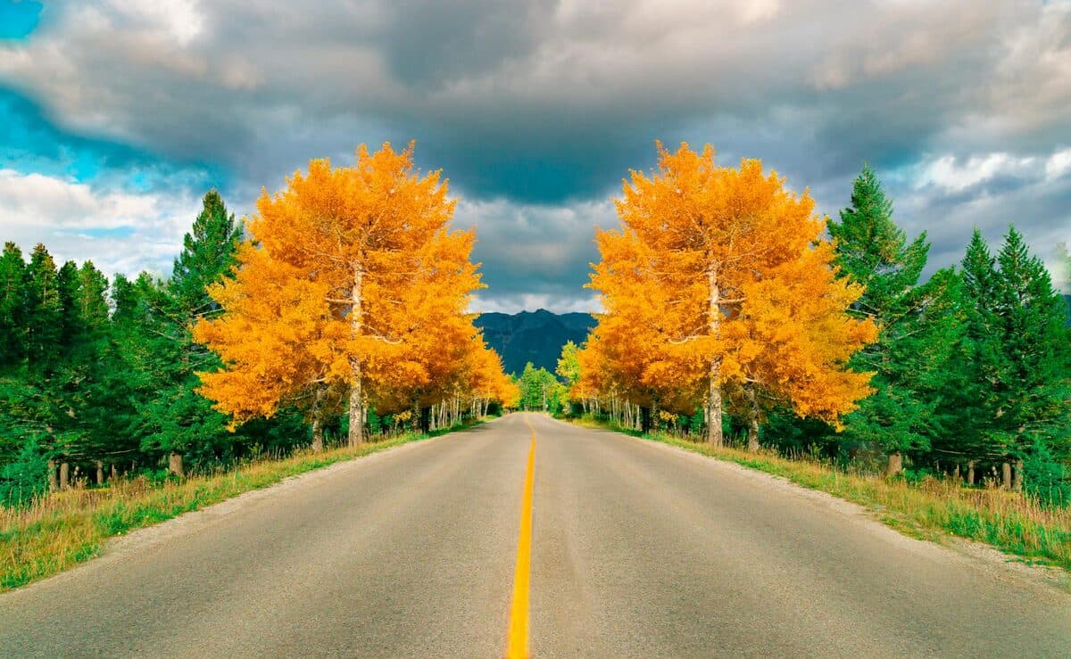 Durango Fall Foliage: Peak Color Dates & Best Drives