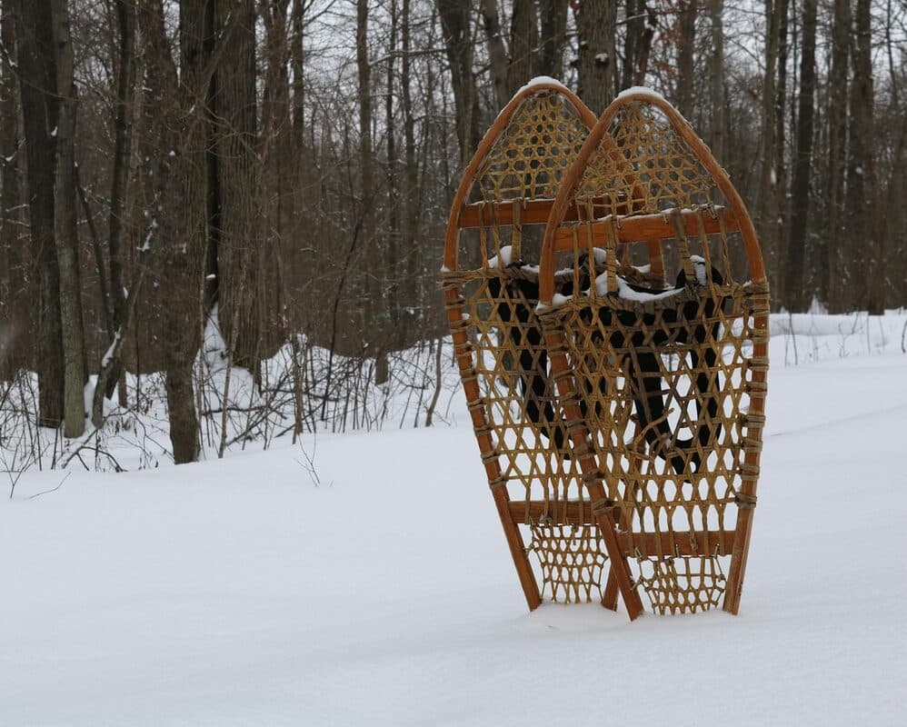 Snowshoeing Hermosa Creek: Winter Trail Guide